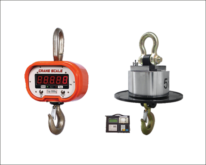 Crane Scales